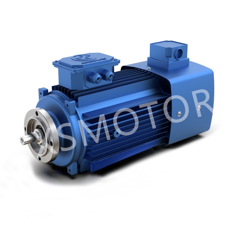 減速機專用直聯式變頻調速電動機